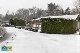 VCML_WitteBurchtenSneeuw-1535