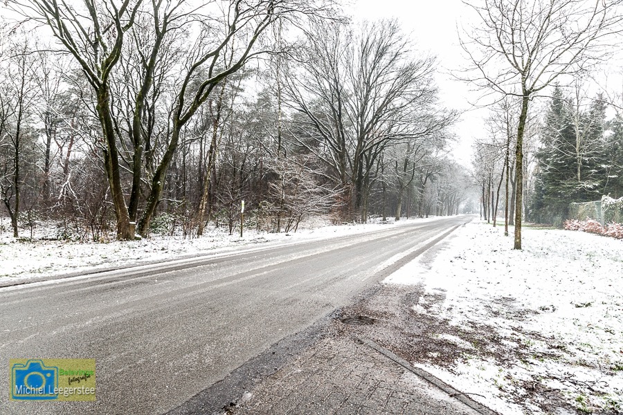 VCML_WitteBurchtenSneeuw-1541