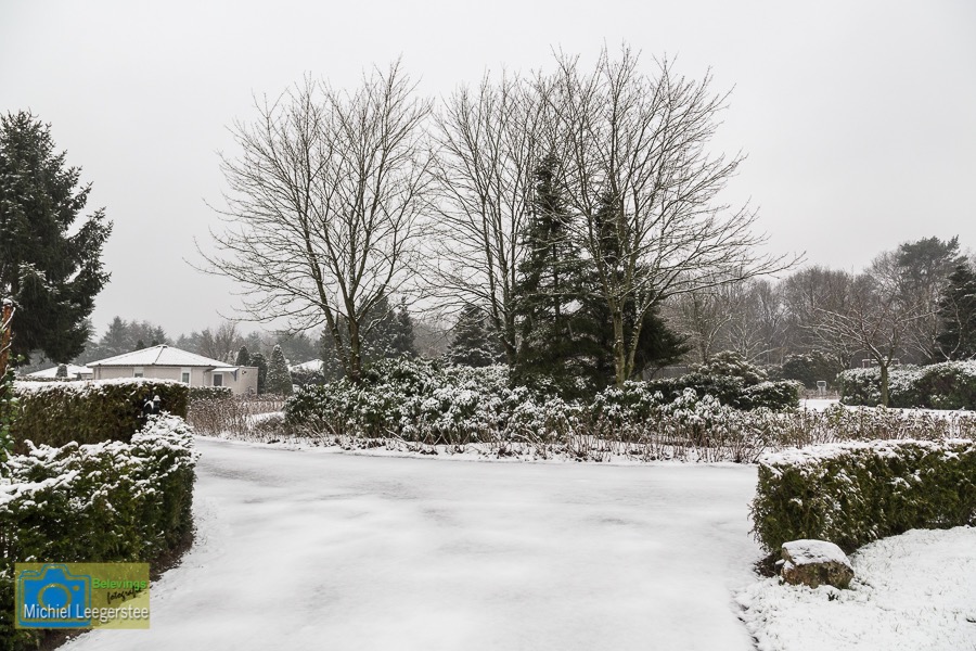 VCML_WitteBurchtenSneeuw-1530