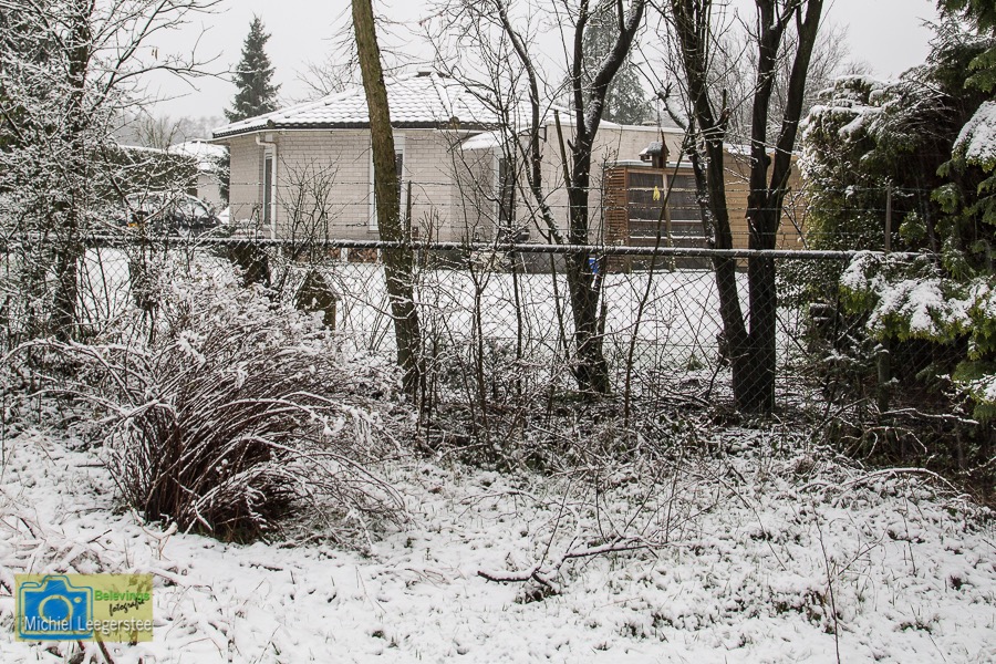 VCML_WitteBurchtenSneeuw-1488