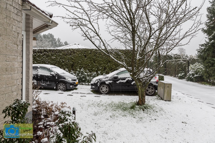 VCML_WitteBurchtenSneeuw-1469
