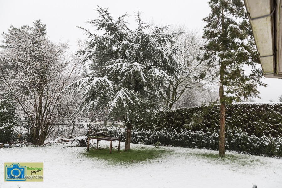 VCML_WitteBurchtenSneeuw-1468