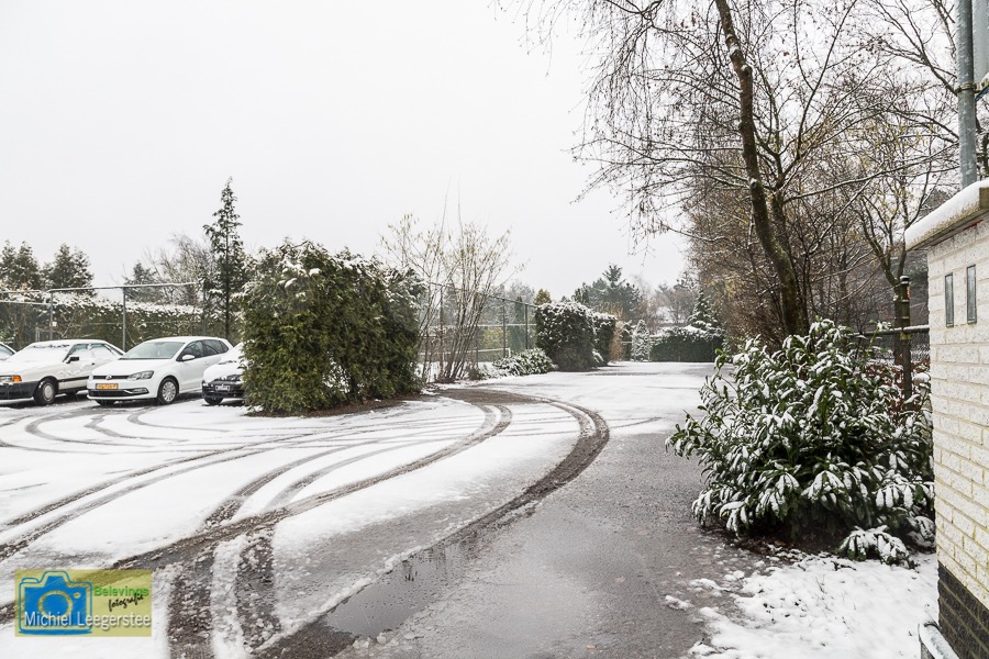 VCML_WitteBurchtenSneeuw-1548