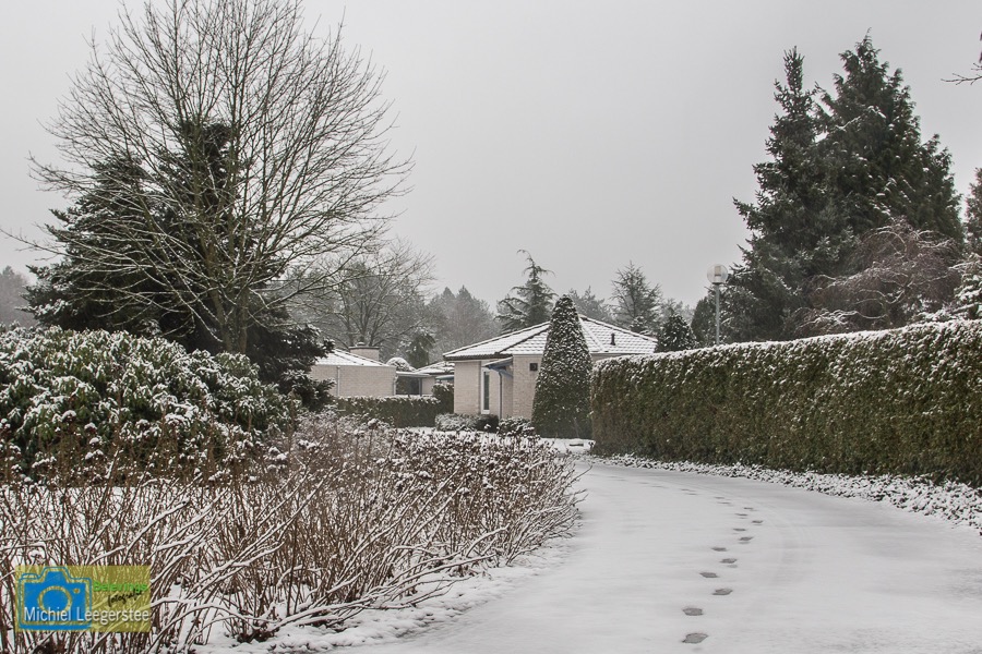 VCML_WitteBurchtenSneeuw-1550