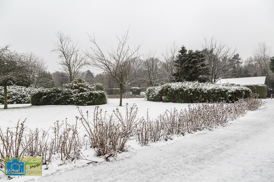 VCML_WitteBurchtenSneeuw-1532