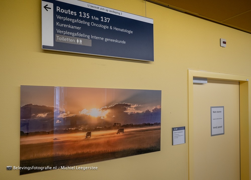 Natuurbeleving aan de muur FZPA316551